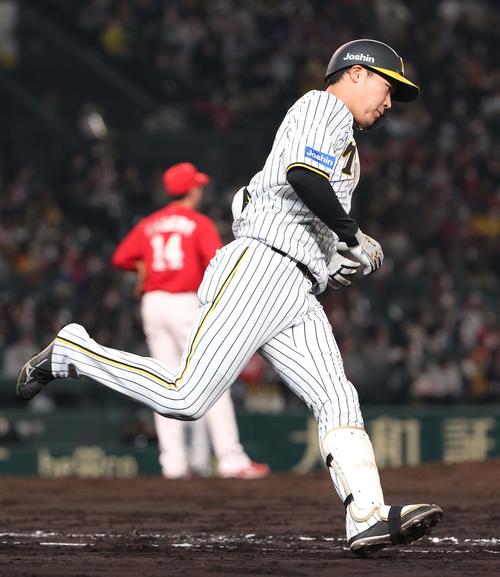 阪神対広島 4回裏阪神1死、左越え本塁打を放つ大山(撮影・上田博志)