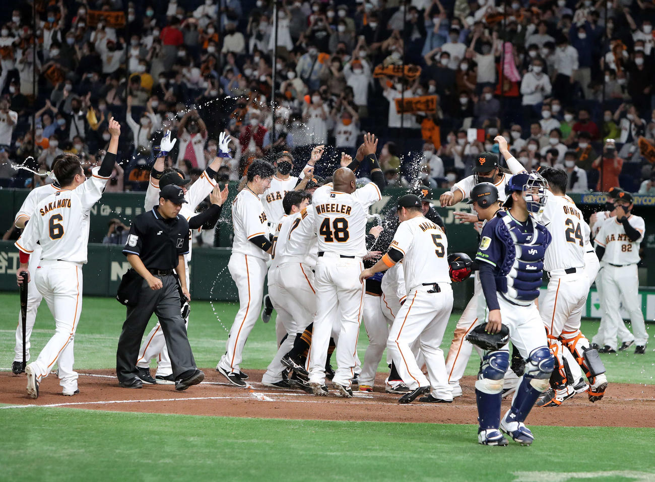 巨人対ヤクルト　10回裏巨人1死、サヨナラ右越えソロ本塁打を放った立岡（中央）を喜び迎える選手たち（撮影・鈴木正人）