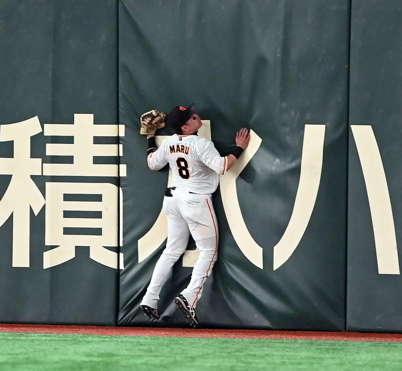 巨人対ヤクルト　5回表ヤクルト無死、オスナの飛球を好捕しフェンスに激突する丸（撮影・たえ見朱実）