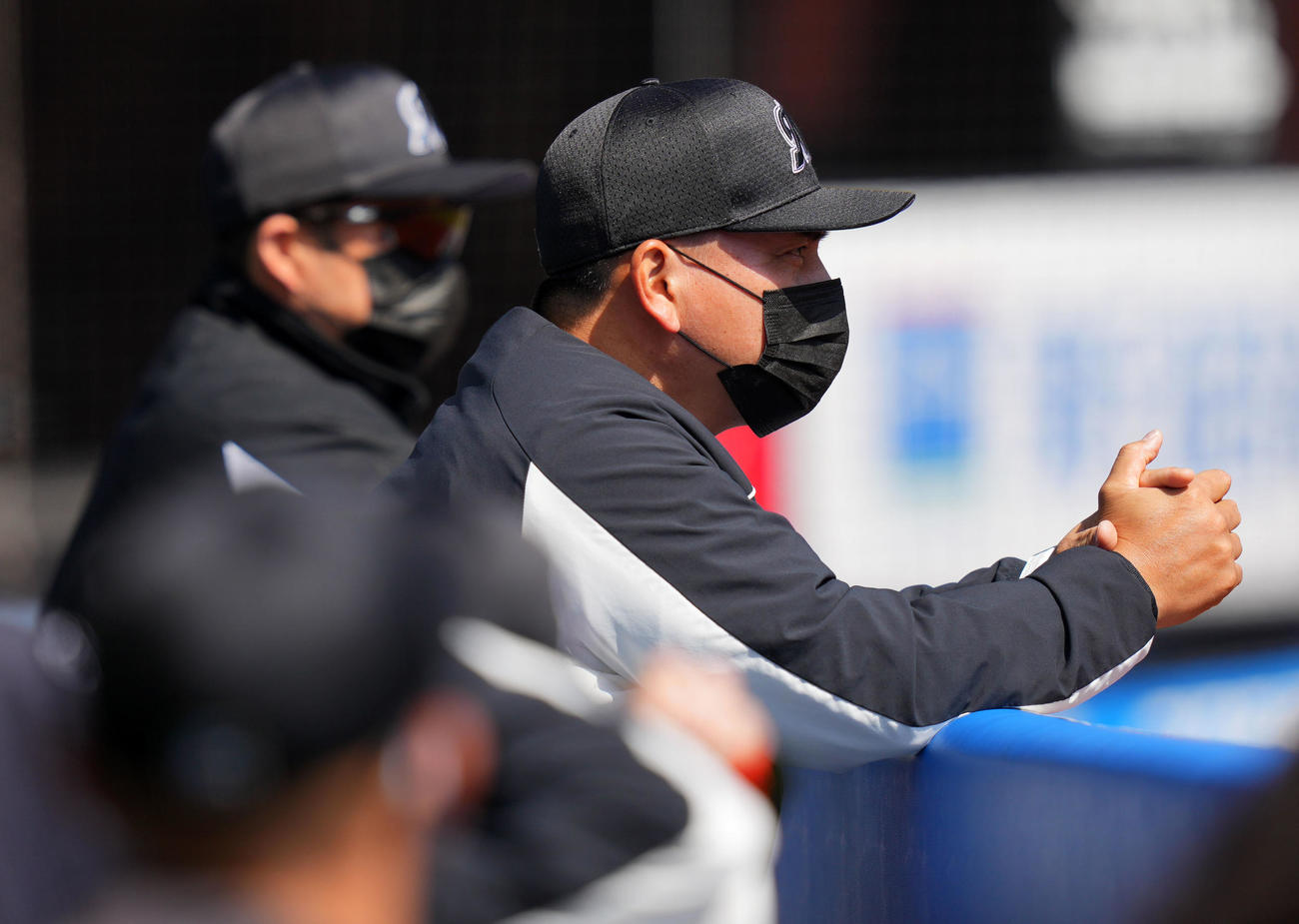 ロッテ対オリックス　試合を見つめるロッテ井口監督（撮影・横山健太）