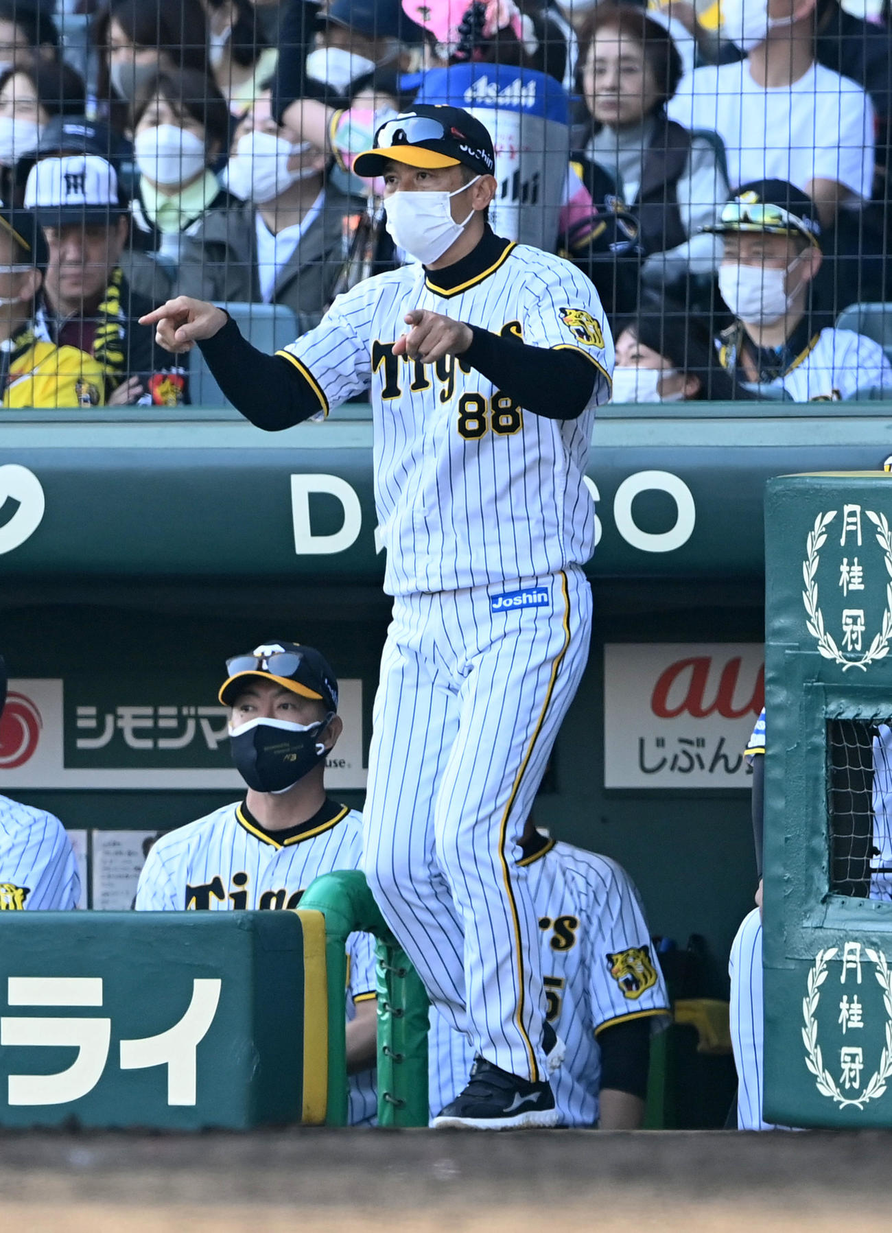 阪神対広島　5回、リクエストする阪神矢野監督（撮影・前岡正明）