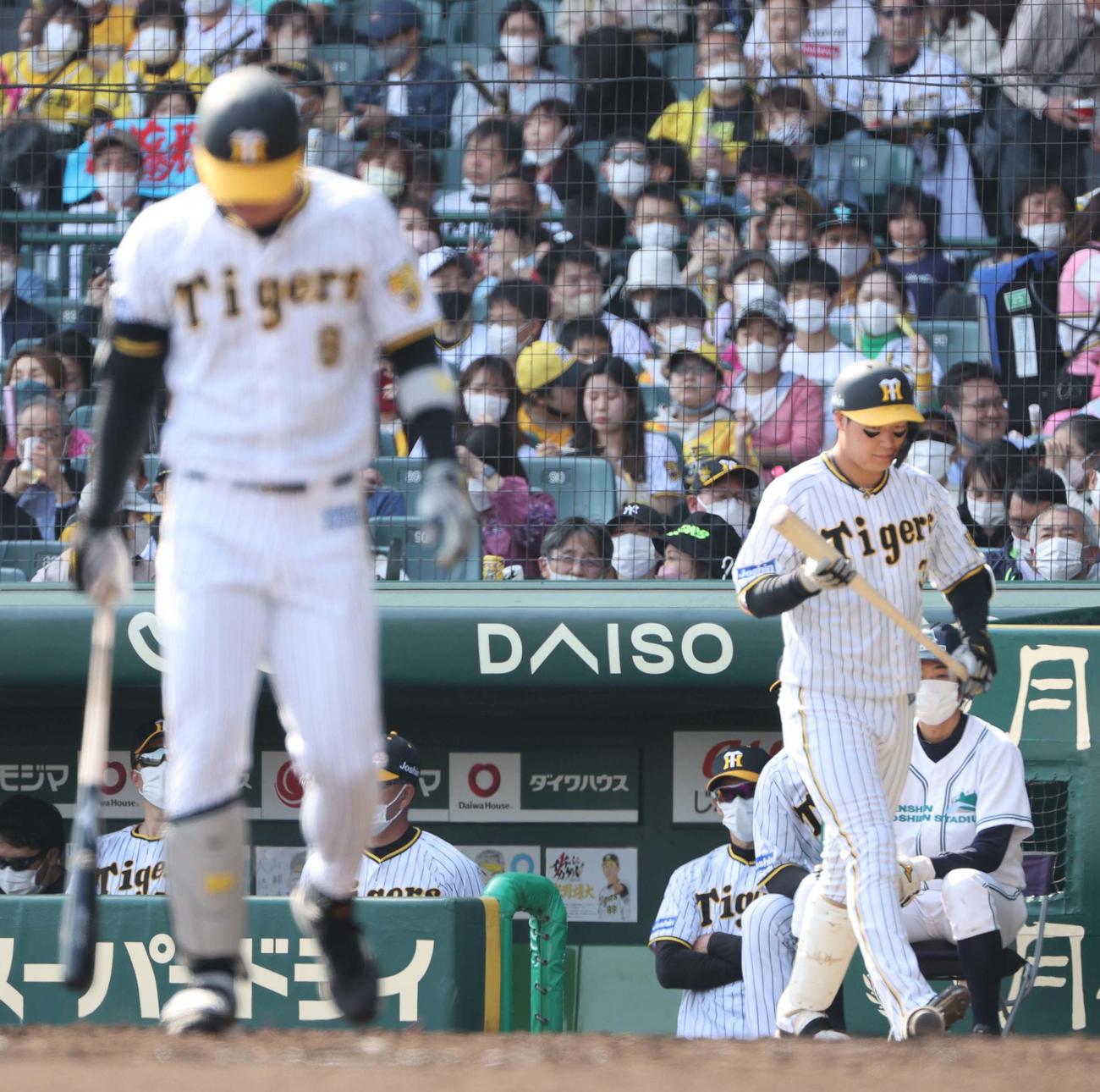 阪神対広島　4回、打席に向かう佐藤輝（左）を見つめる矢野監督。右は大山（撮影・上田博志）