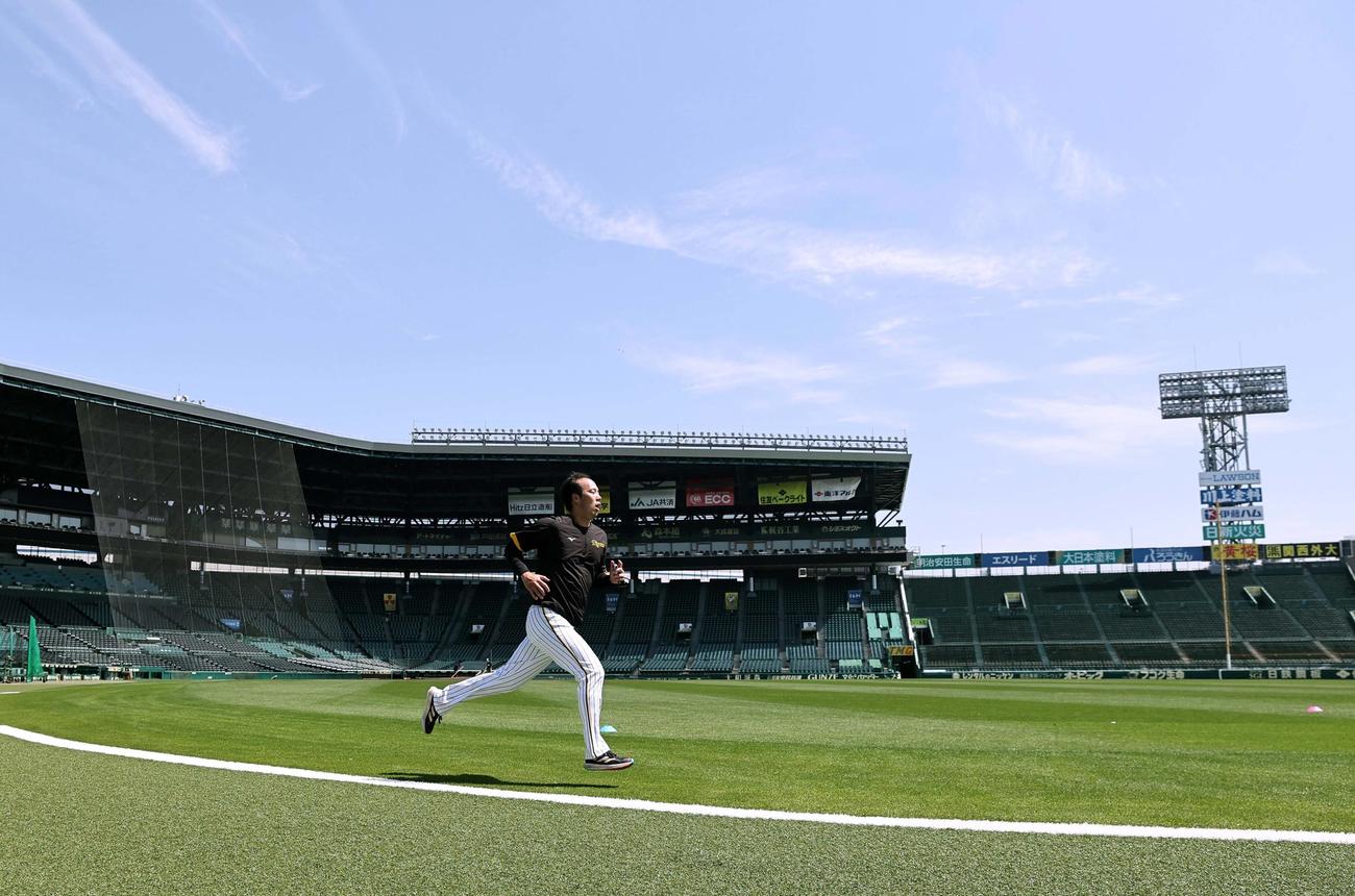 阪神青柳は甲子園球場の外野をダッシュする（撮影・上田博志）