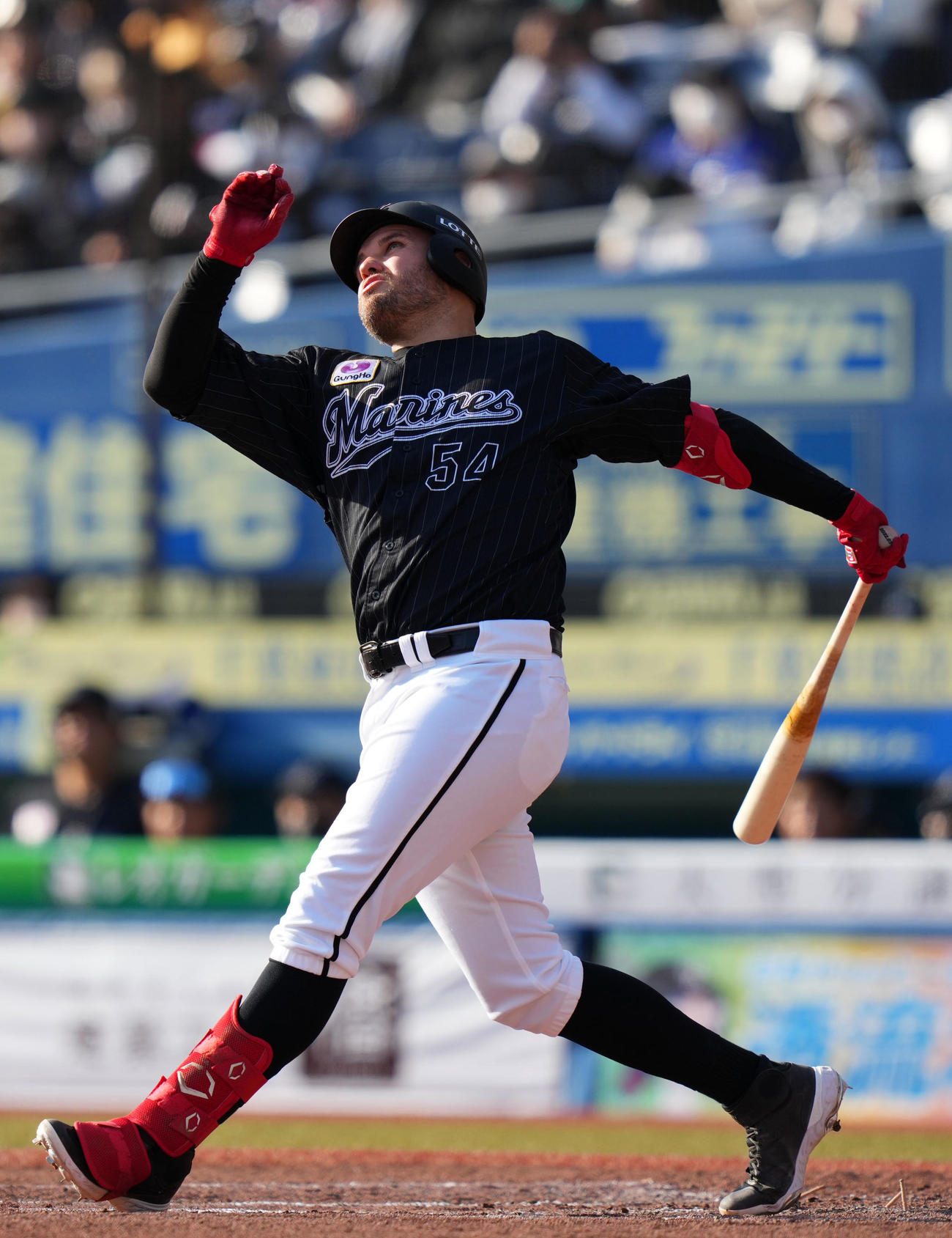 ロッテ・レアード（2022年4月9日撮影）