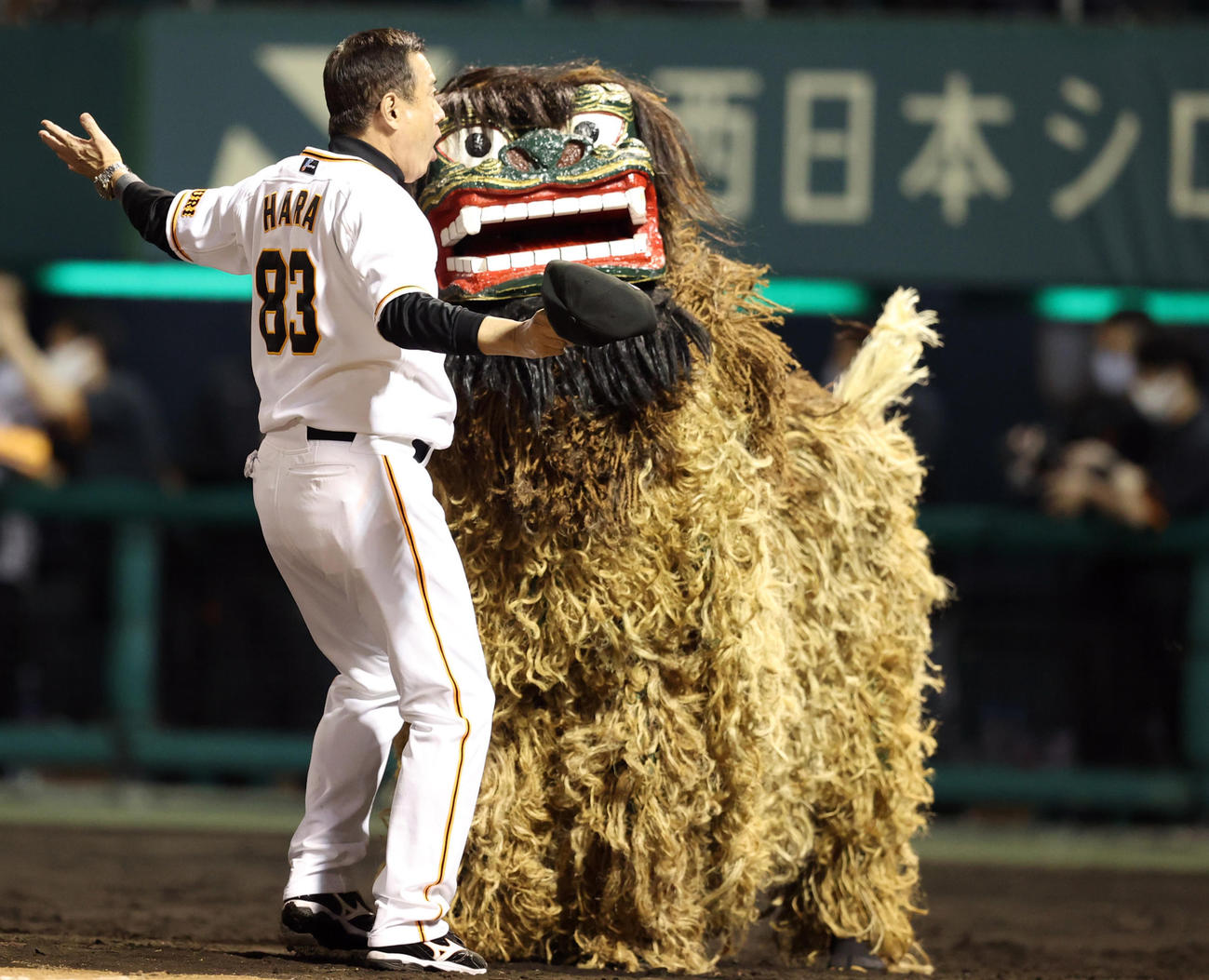 巨人対DeNA　試合後、シーサーとぶつかり驚く原監督（撮影・狩俣裕三）