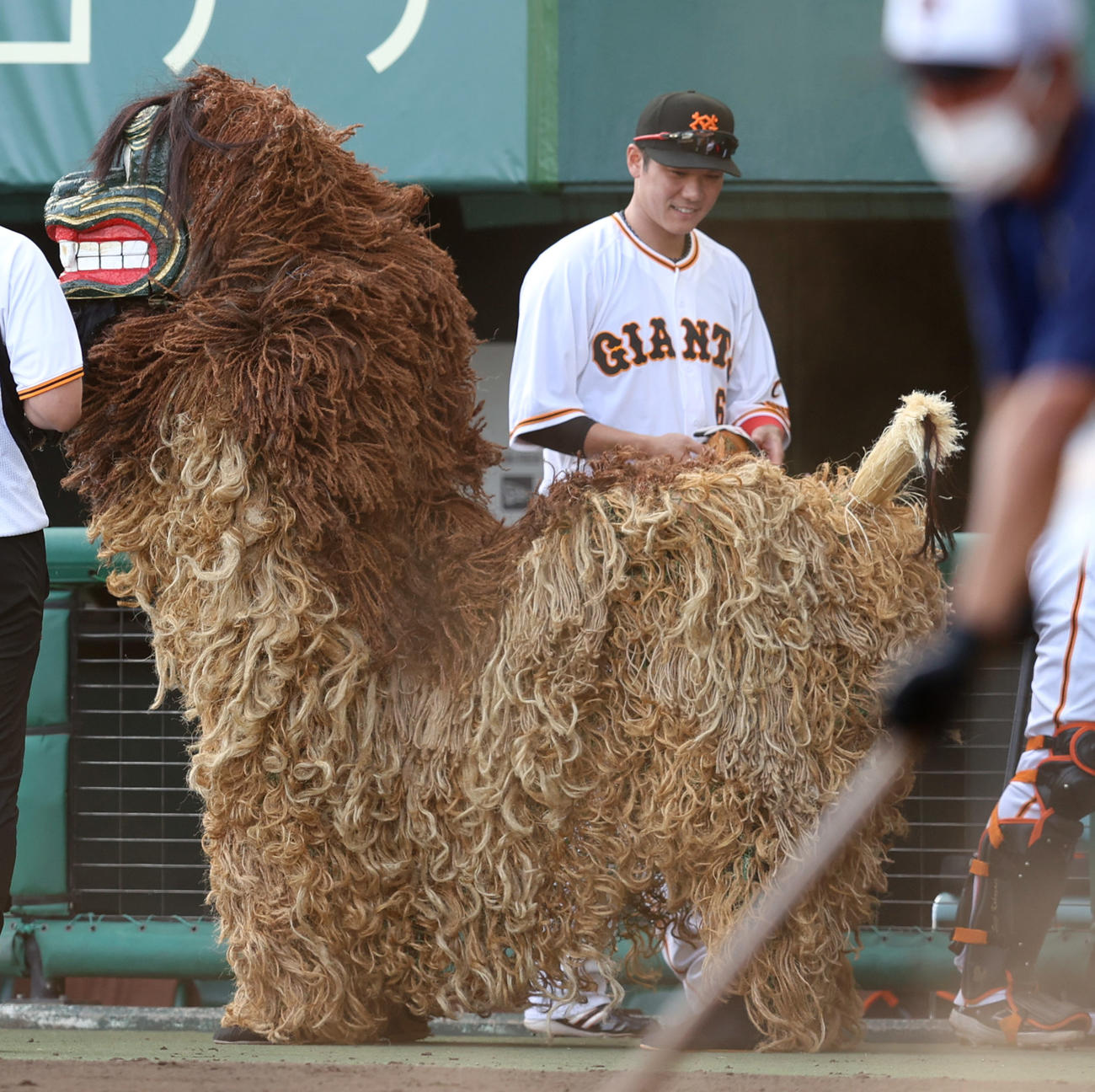 巨人対DeNA　試合前、シーサーをなでる巨人坂本（撮影・狩俣裕三）