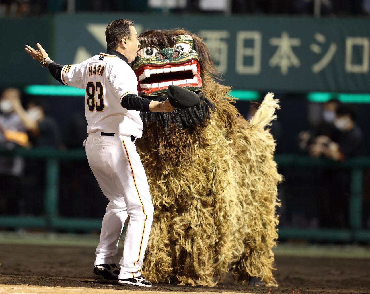 巨人対DeNA　試合後、シーサーとぶつかり驚く原監督（撮影・狩俣裕三）