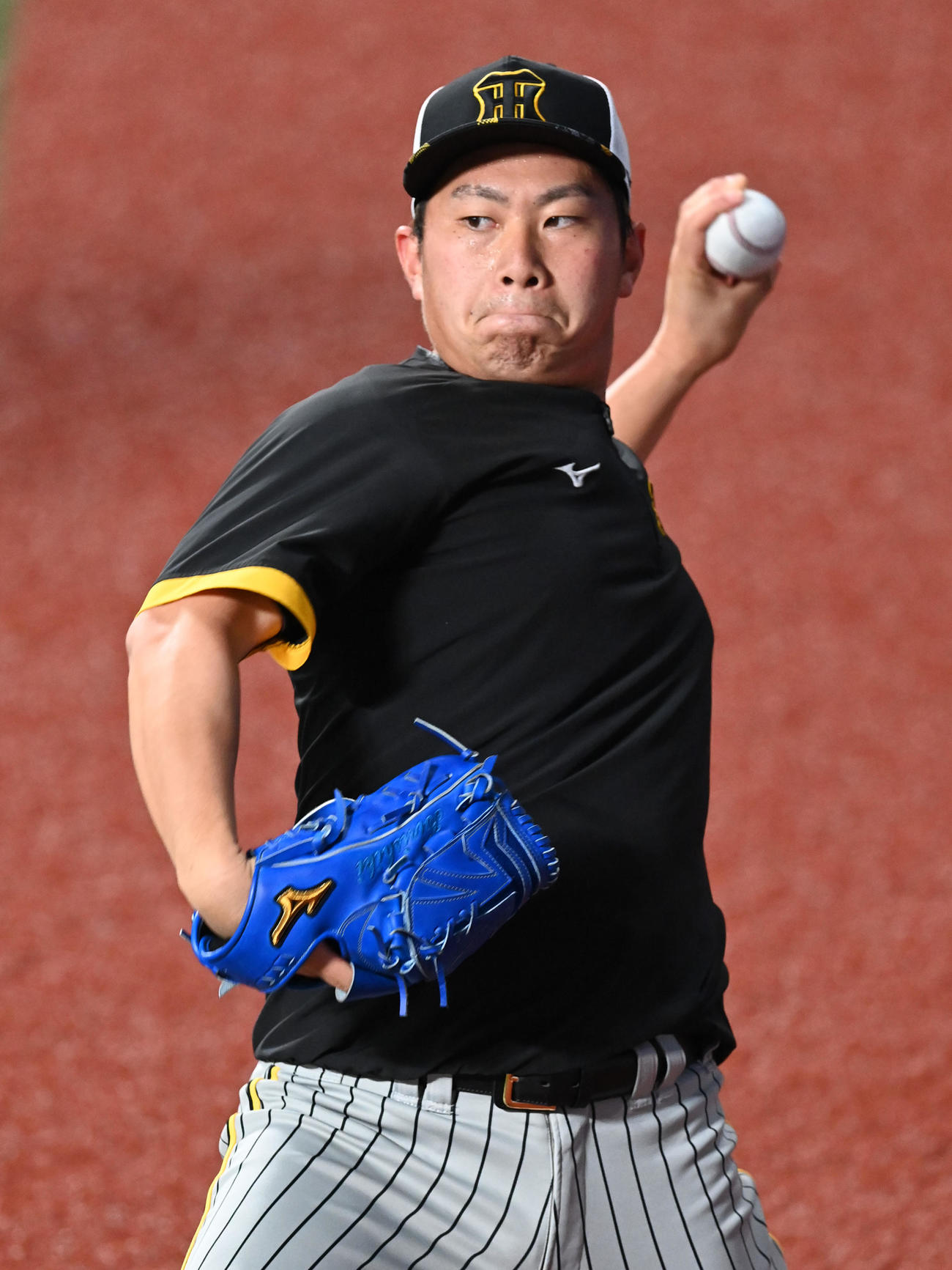中日対阪神　キャッチボールを行う桐敷（撮影・前岡正明）