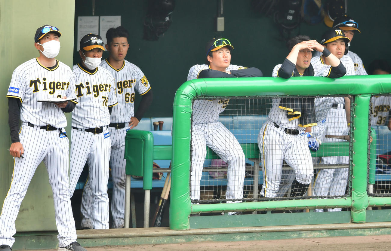 阪神対中日　9回、ベンチで厳しい顔をみせる阪神平田2軍監督（左から2人目）ら（撮影・清水貴仁）
