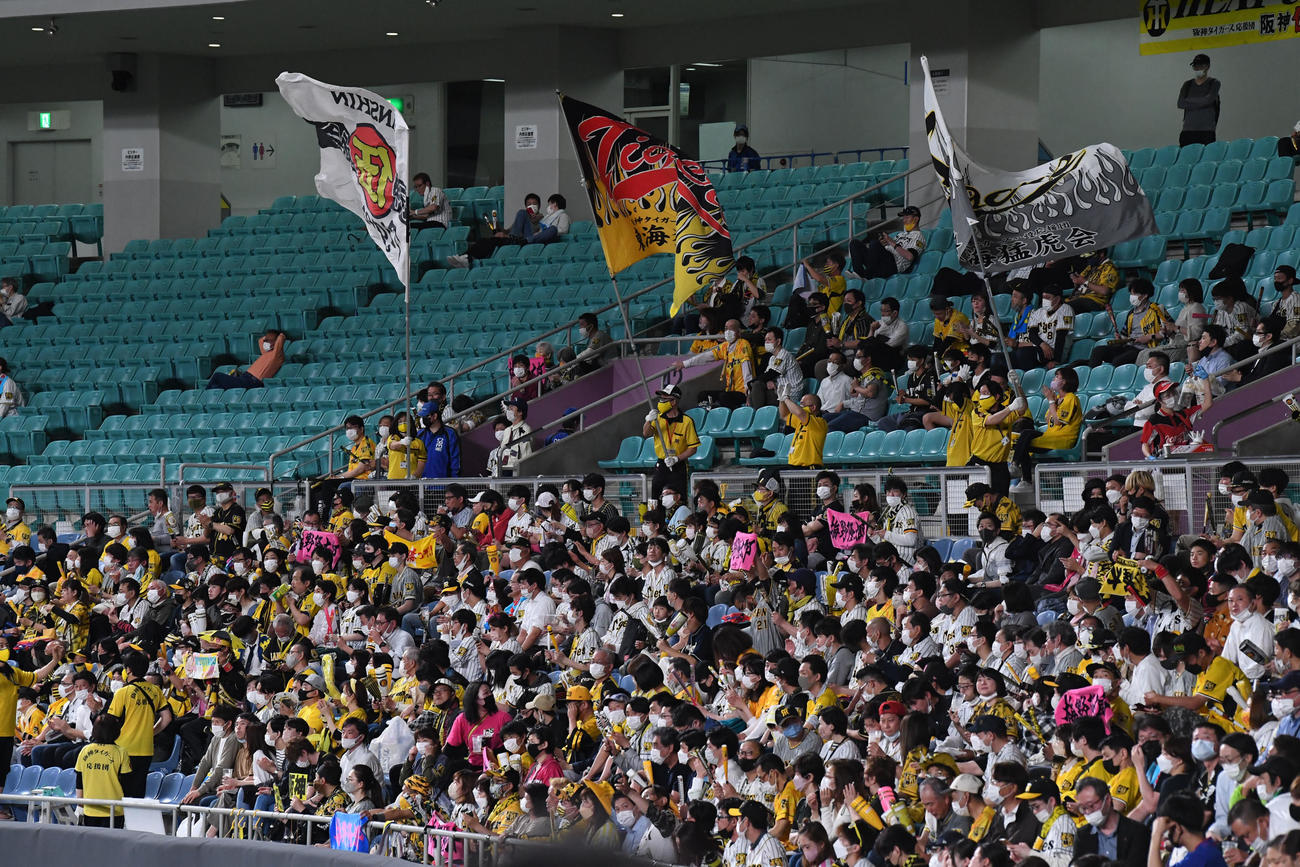 中日対阪神　声援を送る阪神ファン（撮影・前岡正明）
