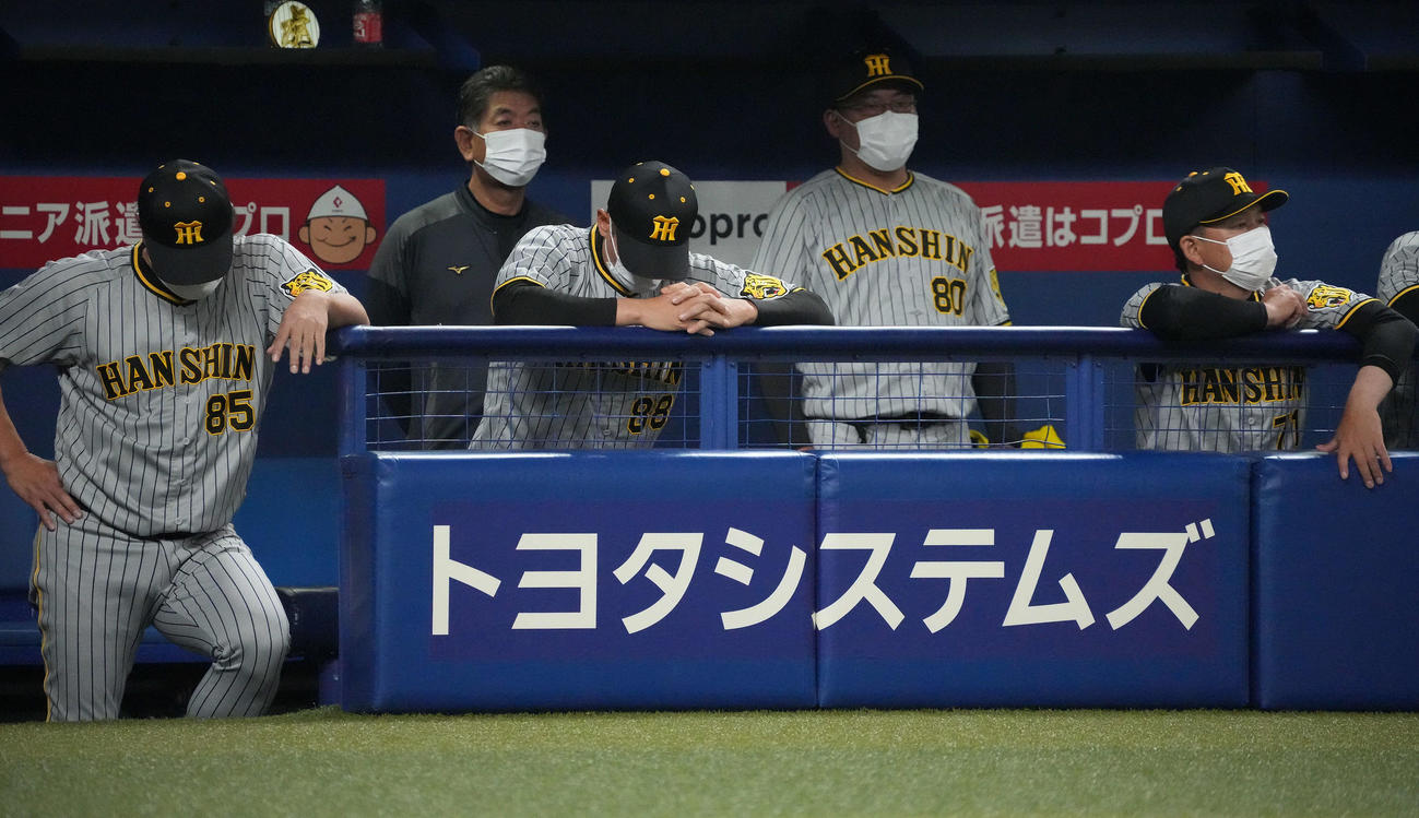 矢野監督（中央）（2022年4月13日撮影）