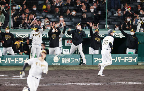阪神対巨人　5回裏阪神2死二塁、佐藤輝の右越え2点本塁打にベンチでガッツポーズする矢野監督（右端）とナインたち（撮影・加藤哉）