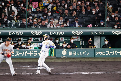 阪神対巨人　4回裏阪神1死一、二塁、ベンチのナインが見つめる中、梅野は投ゴロ併殺打に倒れる（撮影・加藤哉）