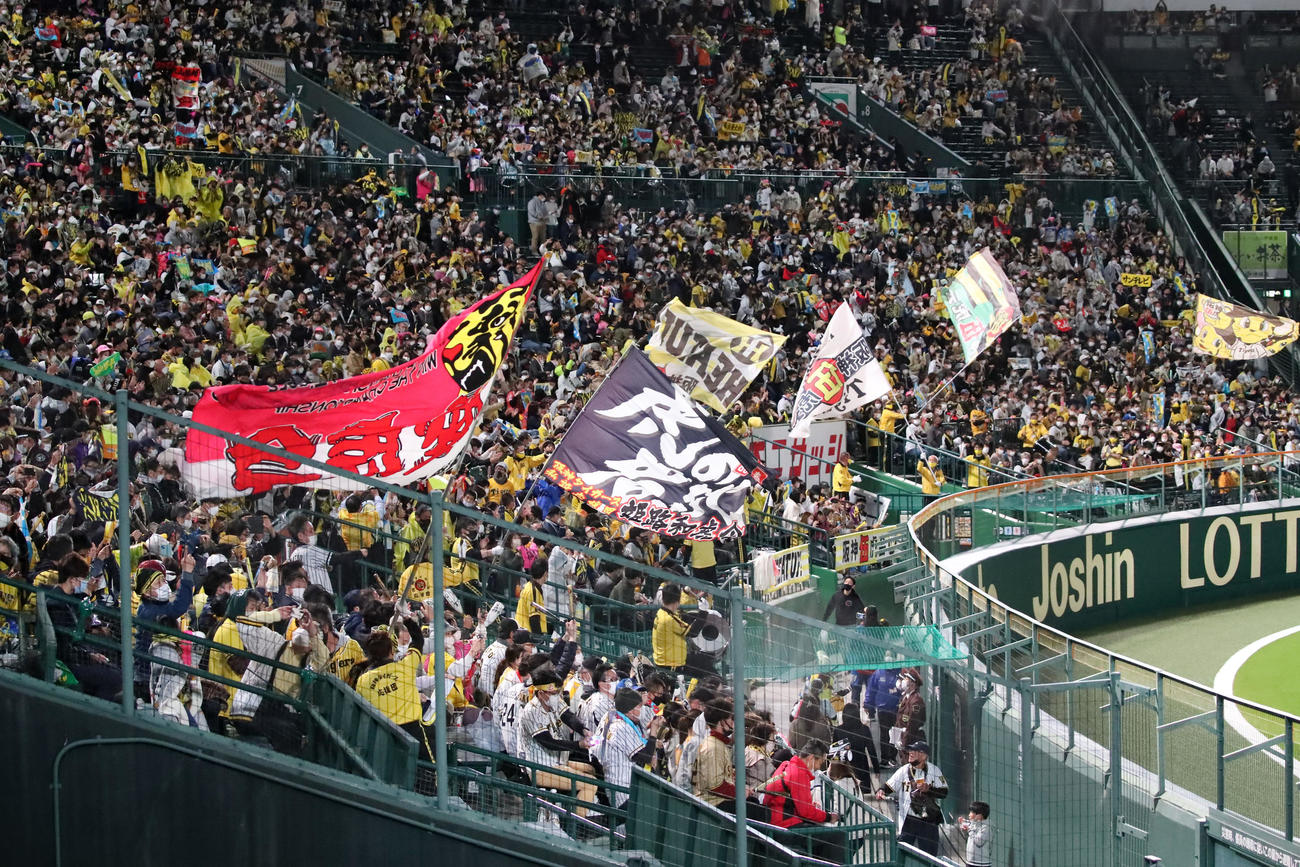 阪神対巨人　旗を振って応援するライトスタンドのファン（撮影・加藤哉）