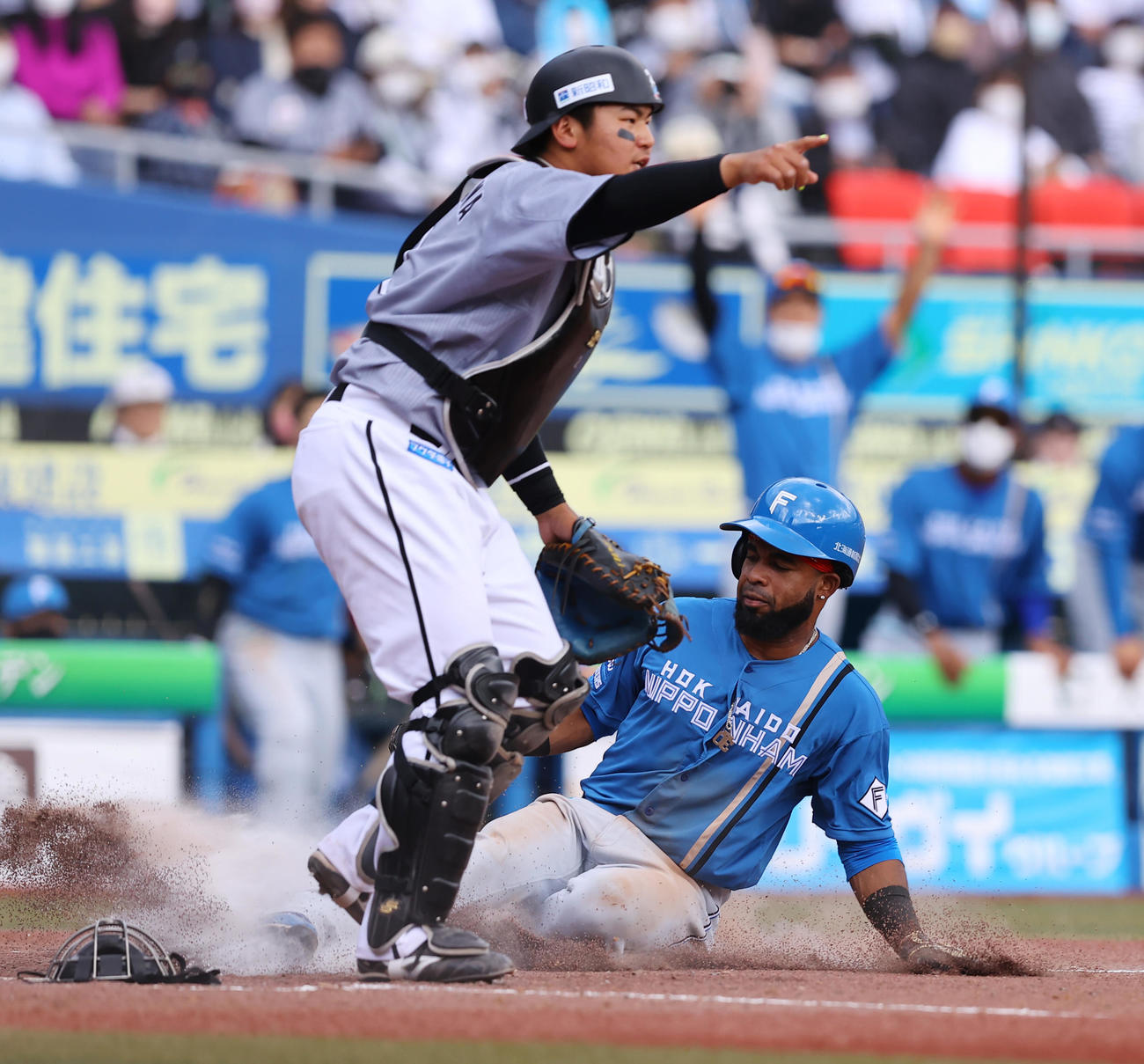 ロッテ対日本ハム　5回表日本ハム1死三塁、石井のスクイズで生還するアルカンタラ（撮影・垰建太）