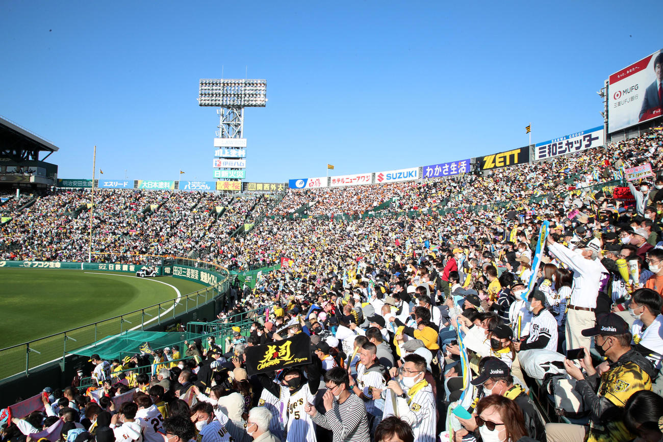 阪神対巨人　観客で埋まる甲子園（撮影・加藤哉）
