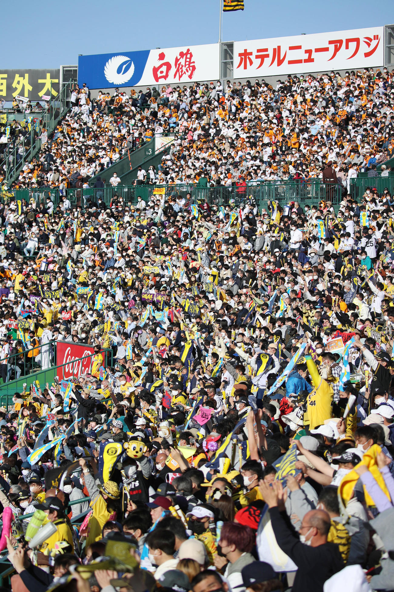 阪神対巨人　観客で埋まる甲子園（撮影・加藤哉）