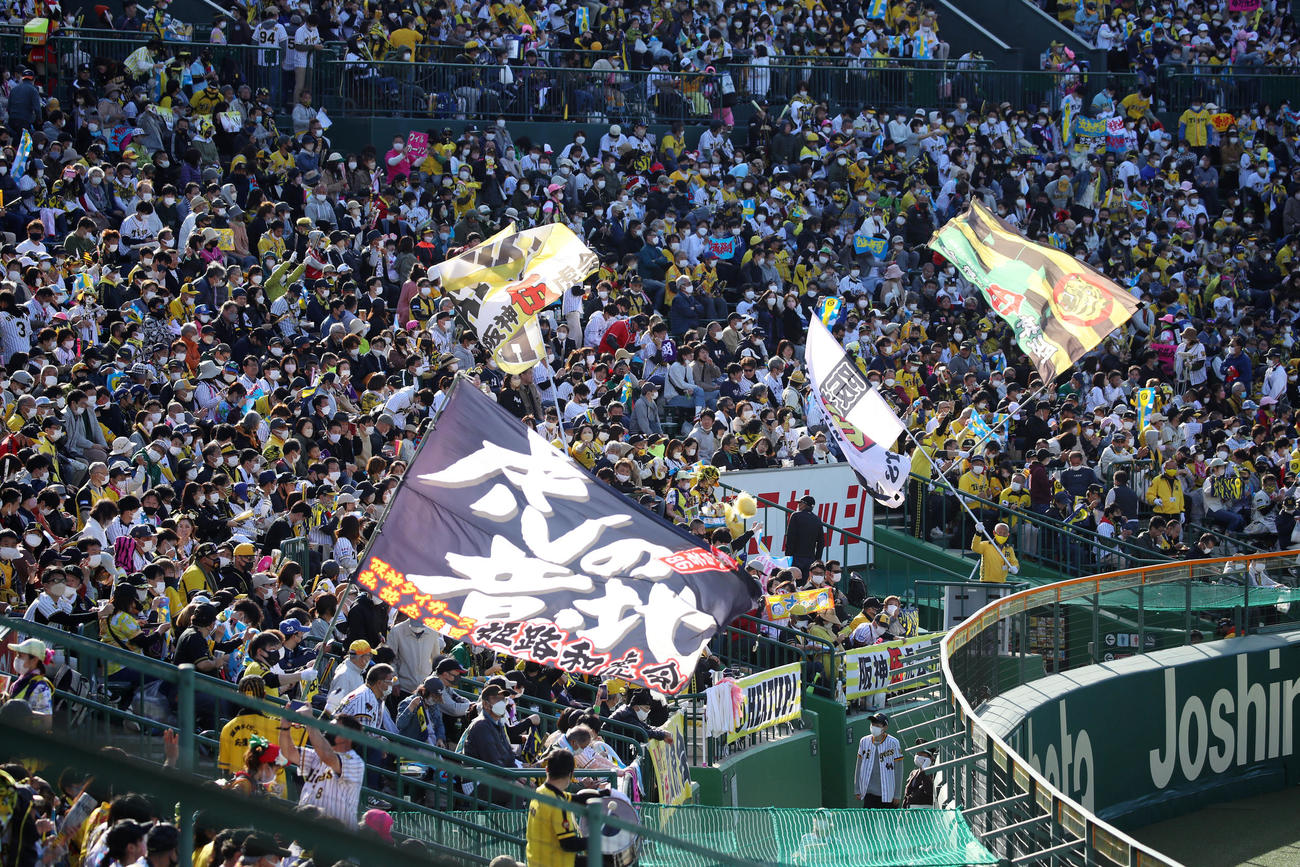 阪神対巨人　7回裏、応援する阪神ファン（撮影・加藤哉）
