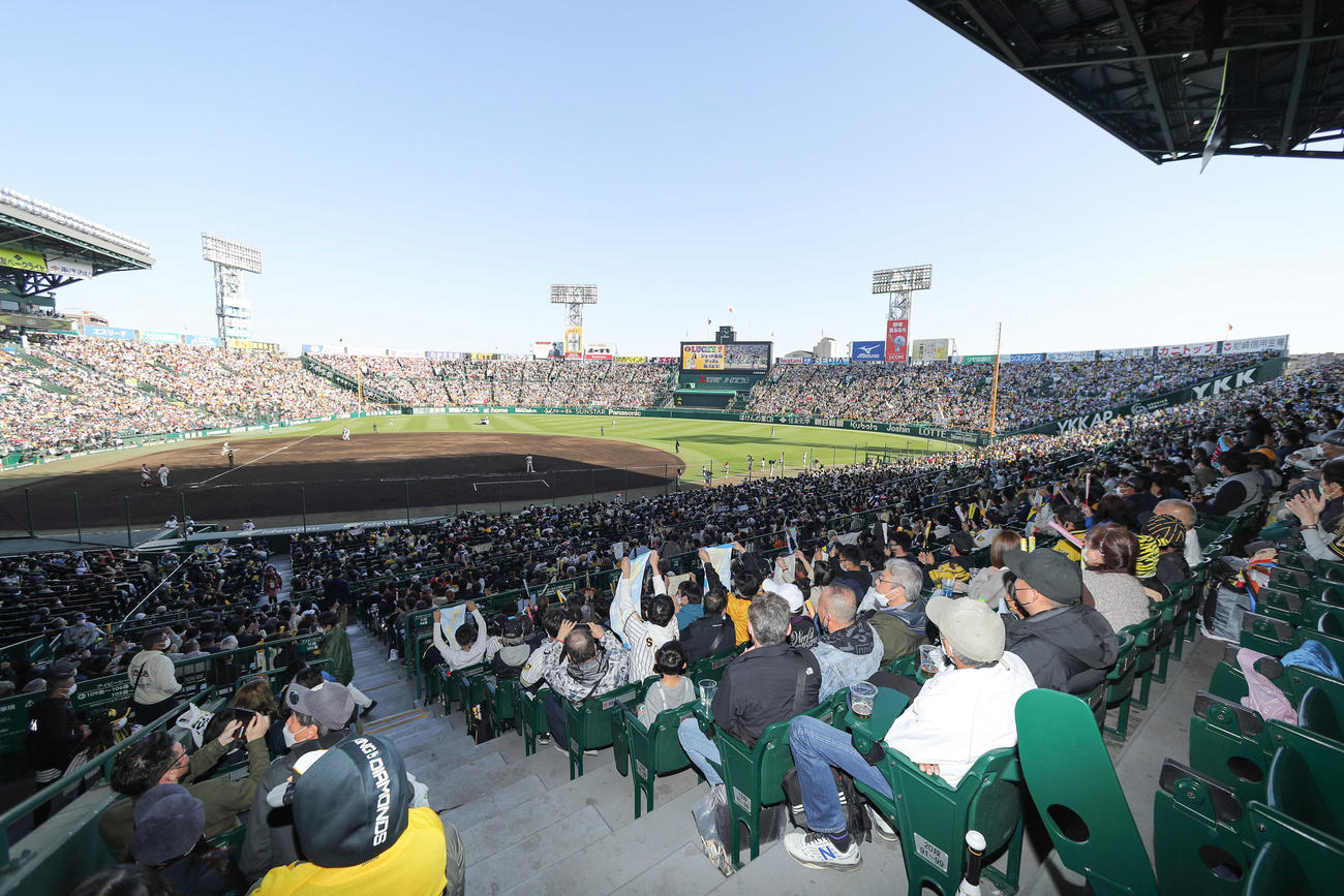 阪神対巨人　7回裏、ラッキー7の応援をする阪神ファンら（撮影・前田充）