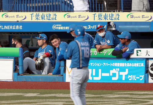 ロッテ対日本ハム 8回表まで無安打に抑えられベンチで苦笑いの日本ハムナイン(撮影・佐藤翔太)