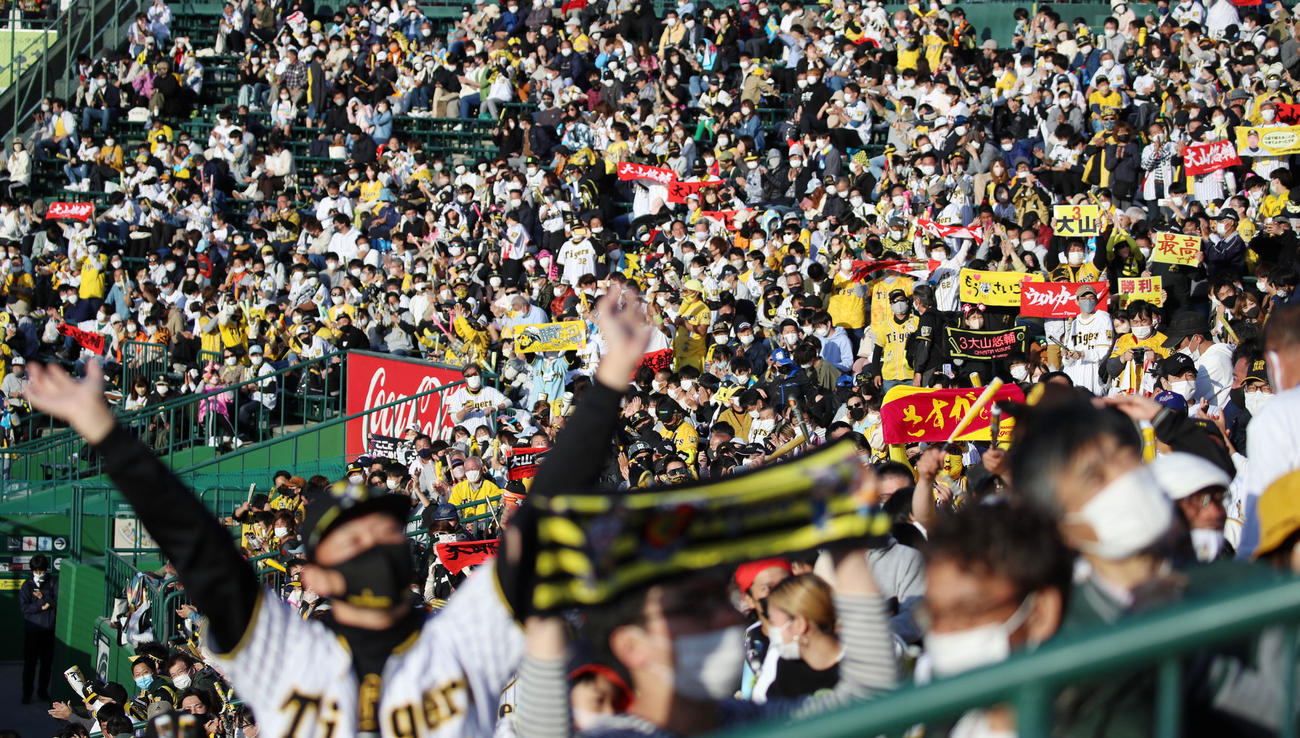 巨人に連勝し喜ぶスタンドを埋めた阪神ファン（撮影・加藤哉）