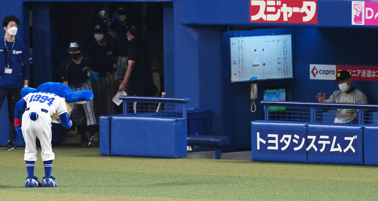 中日対阪神　試合前、阪神矢野監督にあいさつするドアラ（2022年4月12日、撮影・前岡正明）