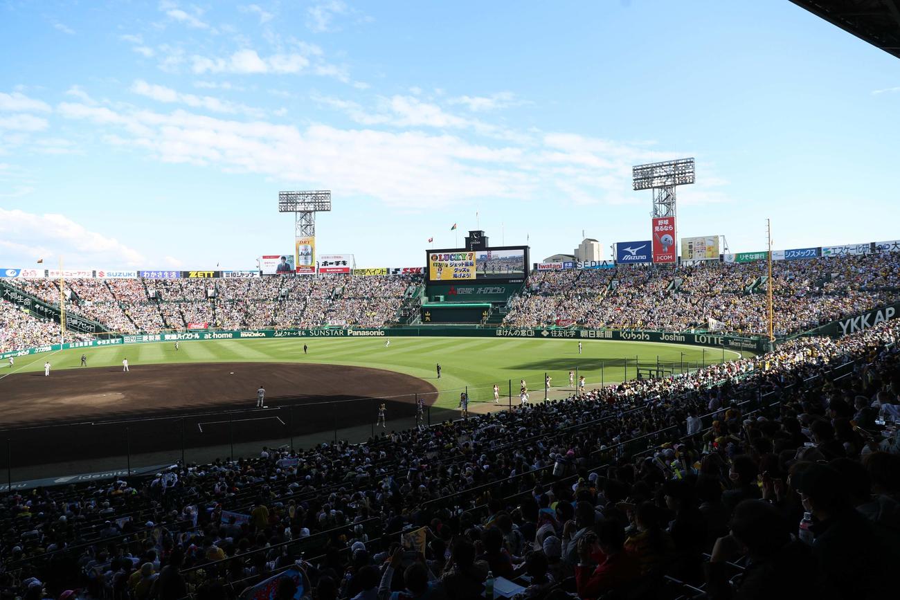 17日の巨人戦、超満員の甲子園球場