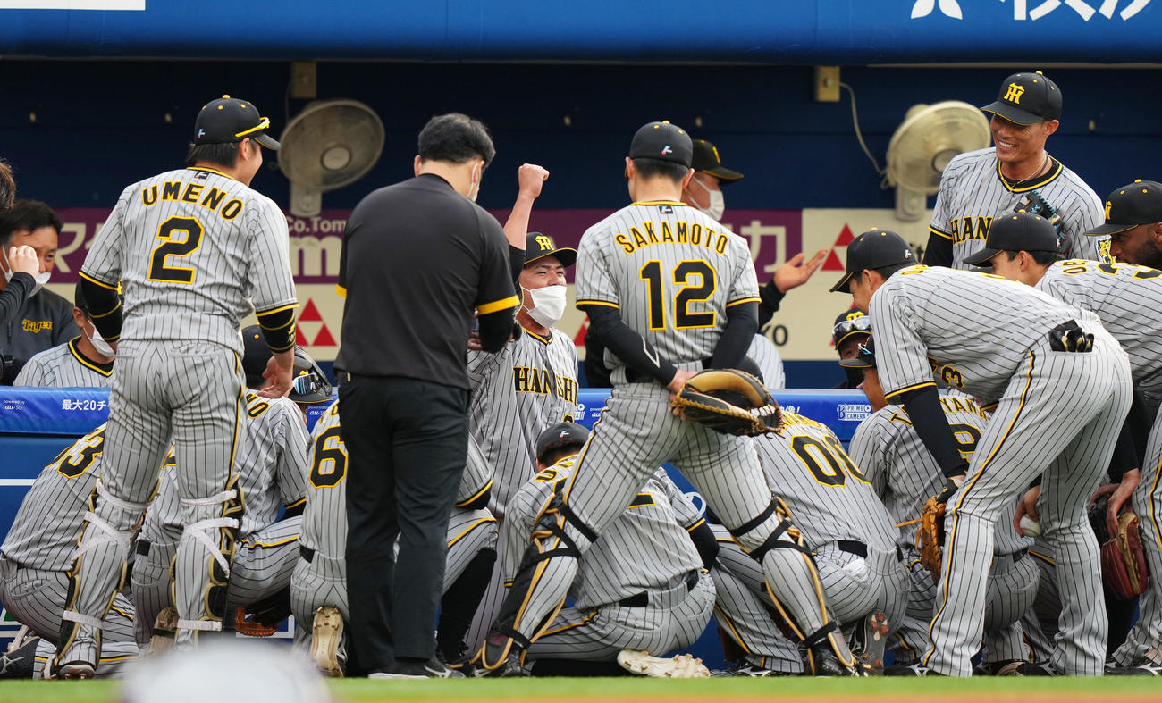 DeNA対阪神　試合前円陣で声がけをする阪神小野寺（中央）（撮影・横山健太）