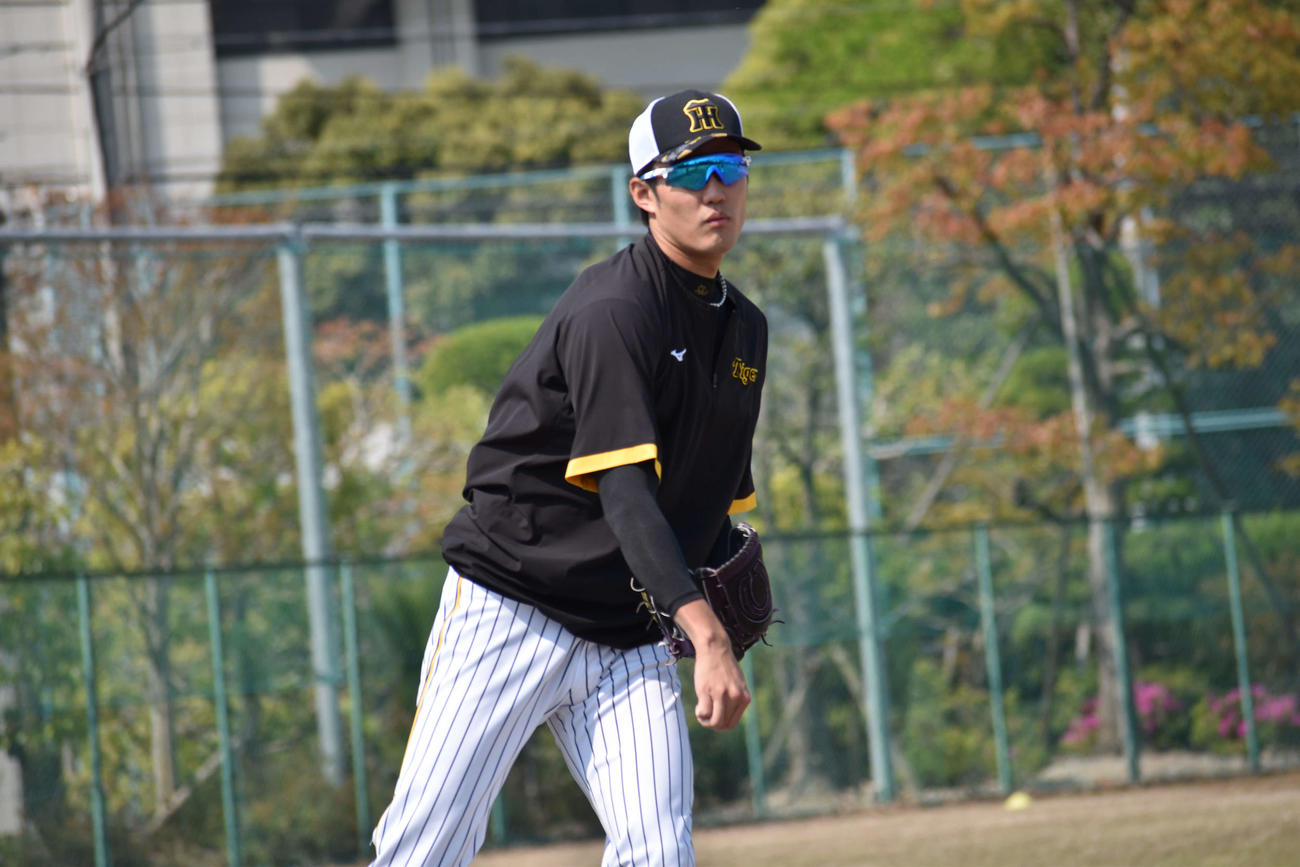 ファームに合流し、キャッチボールを行う阪神藤浪（撮影・古財稜明）