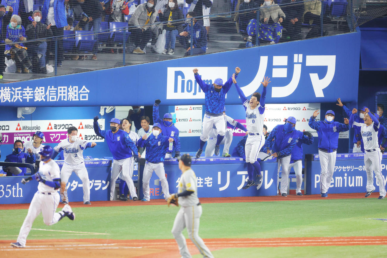 DeNA対阪神　延長10回裏DeNA無死、ソト（手前左）のサヨナラ本塁打でベンチから飛び出すDeNAナイン（撮影・河田真司）