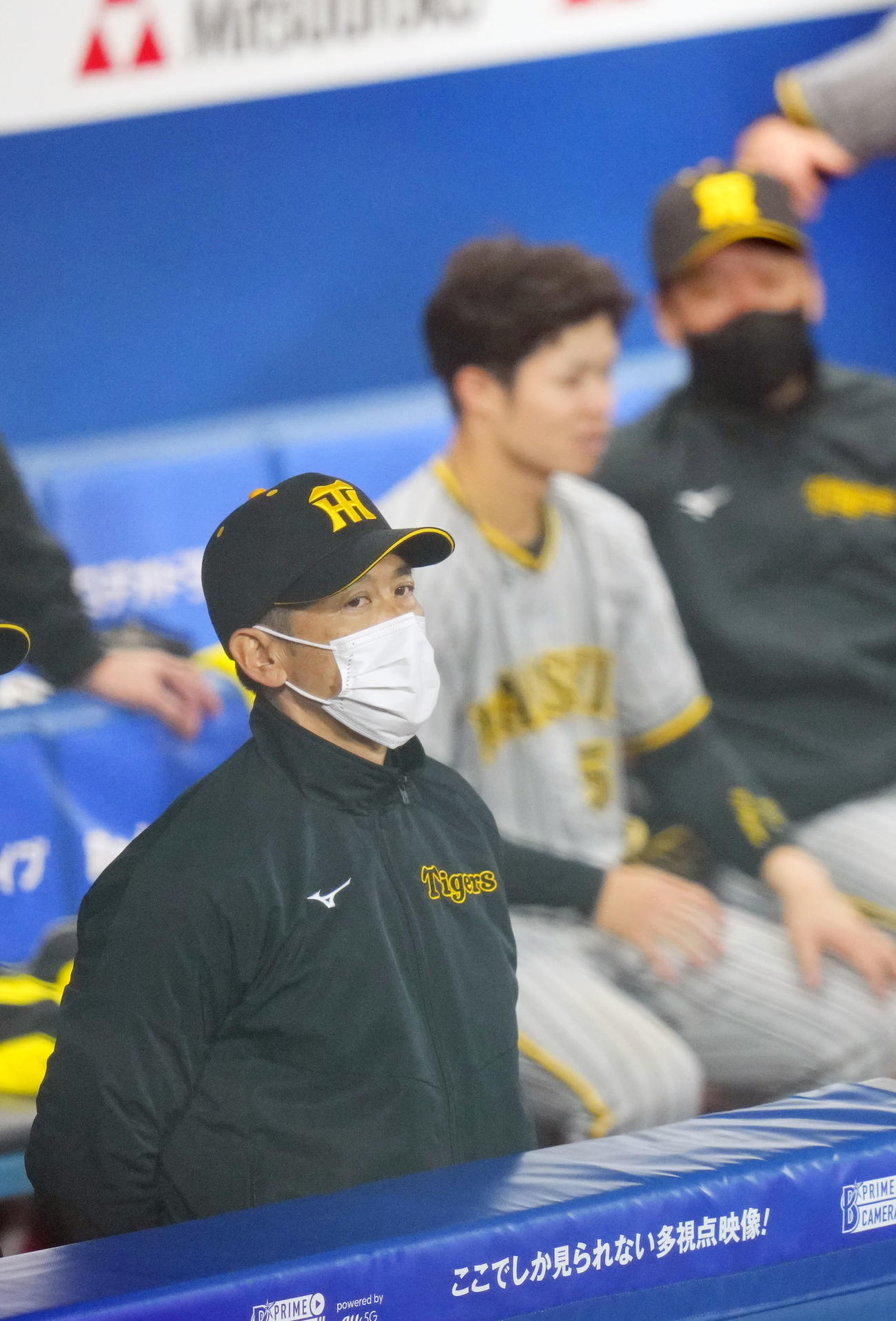 DeNA対阪神　試合を見つめる阪神矢野監督（左）（撮影・横山健太）