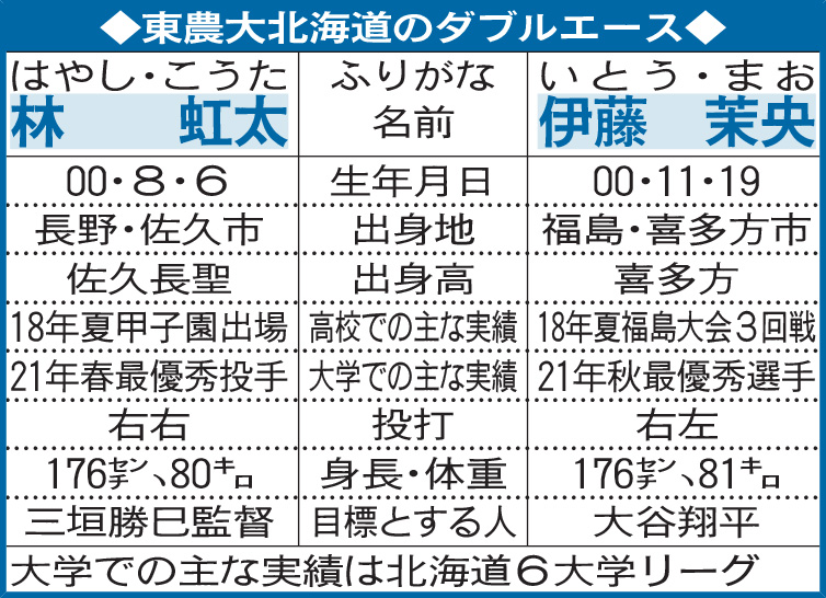 東農大北海道のダブルエース比較表