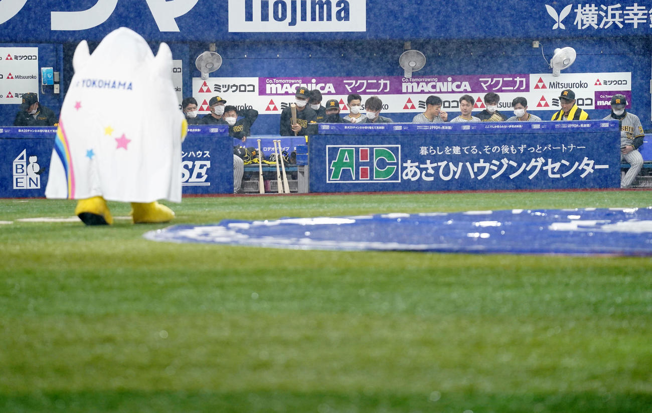 DeNA対阪神　6回表途中、雨で試合が中断しベンチで再開を待つ阪神ナイン（撮影・横山健太）
