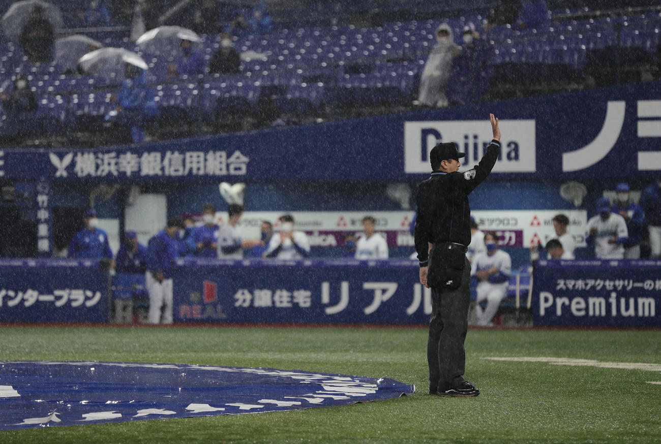 DeNA対阪神　6回途中降雨コールドを告げる審判（撮影・前田充）