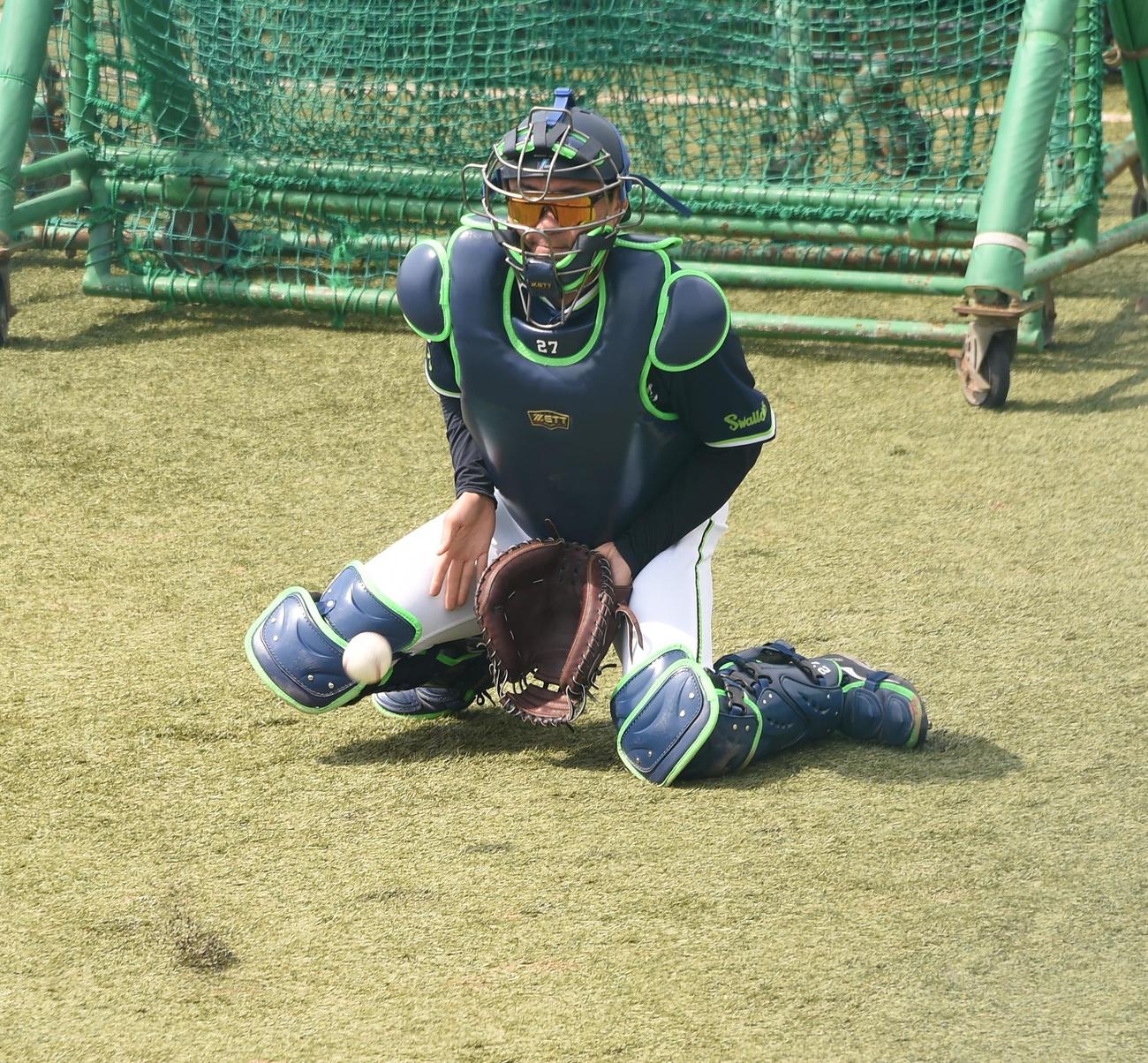 21日、ワンバウンドストップの練習を行うヤクルト中村
