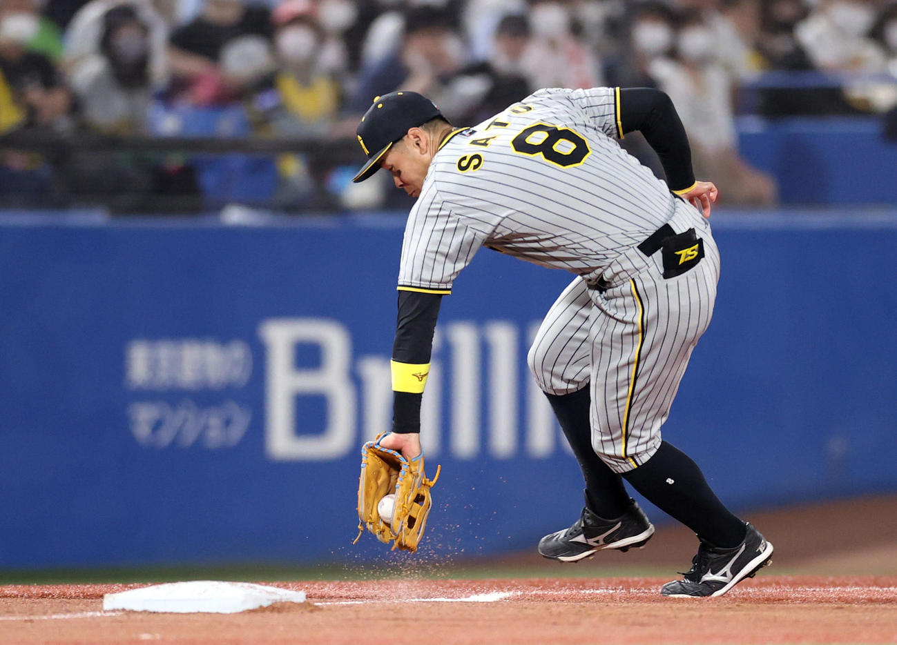 ヤクルト対阪神　3回裏ヤクルト2死、ヤクルト太田の三ゴロを好捕する阪神佐藤輝（撮影・狩俣裕三）