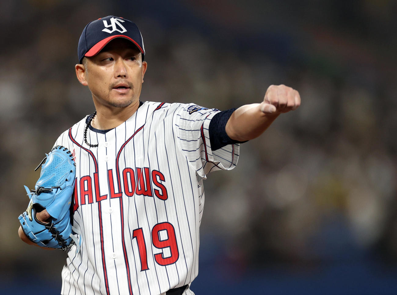 ヤクルト対阪神　6回表を抑え、チームメートにグーポーズを示すヤクルト先発の石川（撮影・狩俣裕三）