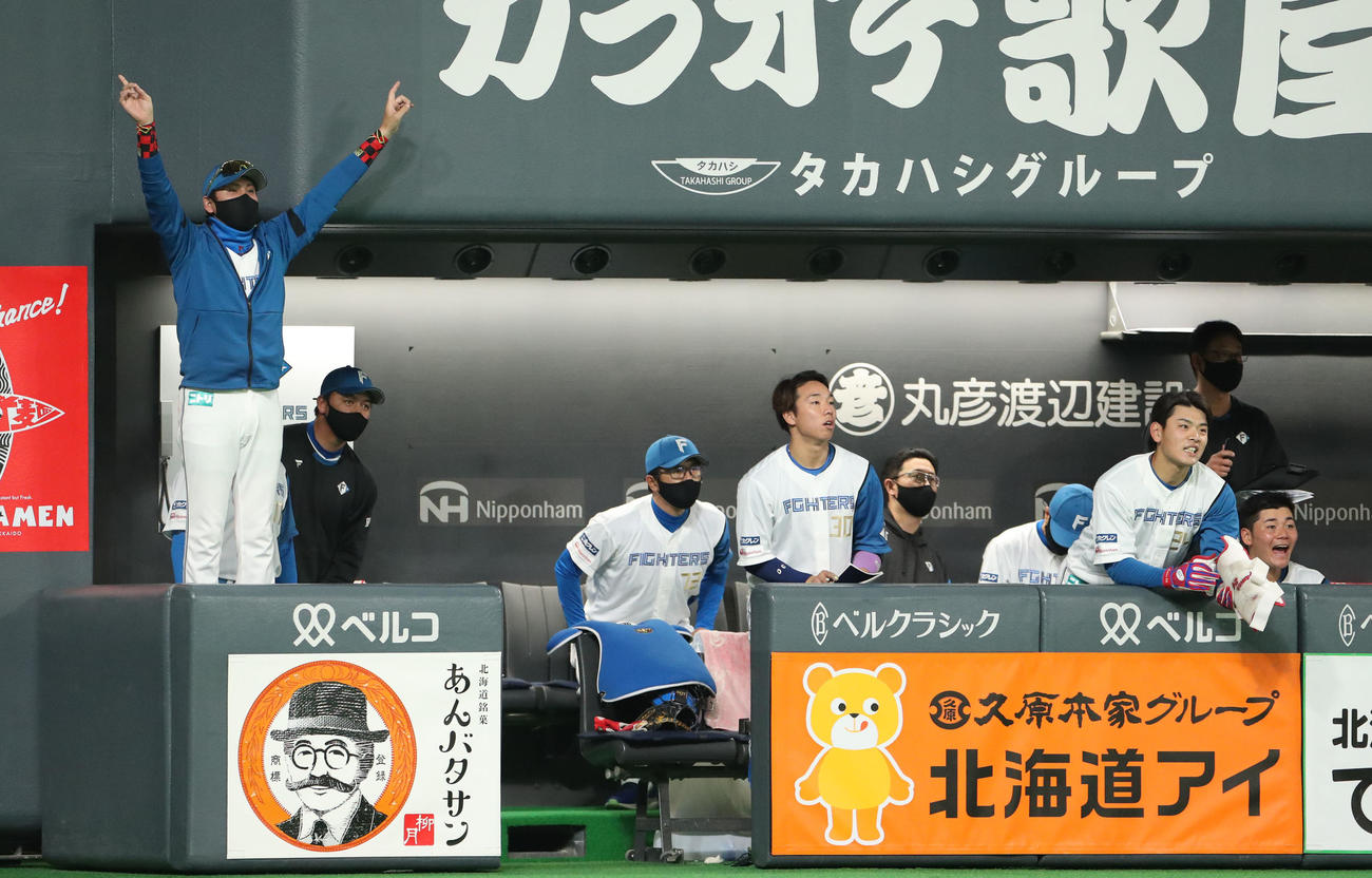 日本ハム対ソフトバンク　4回裏日本ハム1死、アルカンタラの右越え本塁打に喜ぶ新庄監督（左）（撮影・佐藤翔太）
