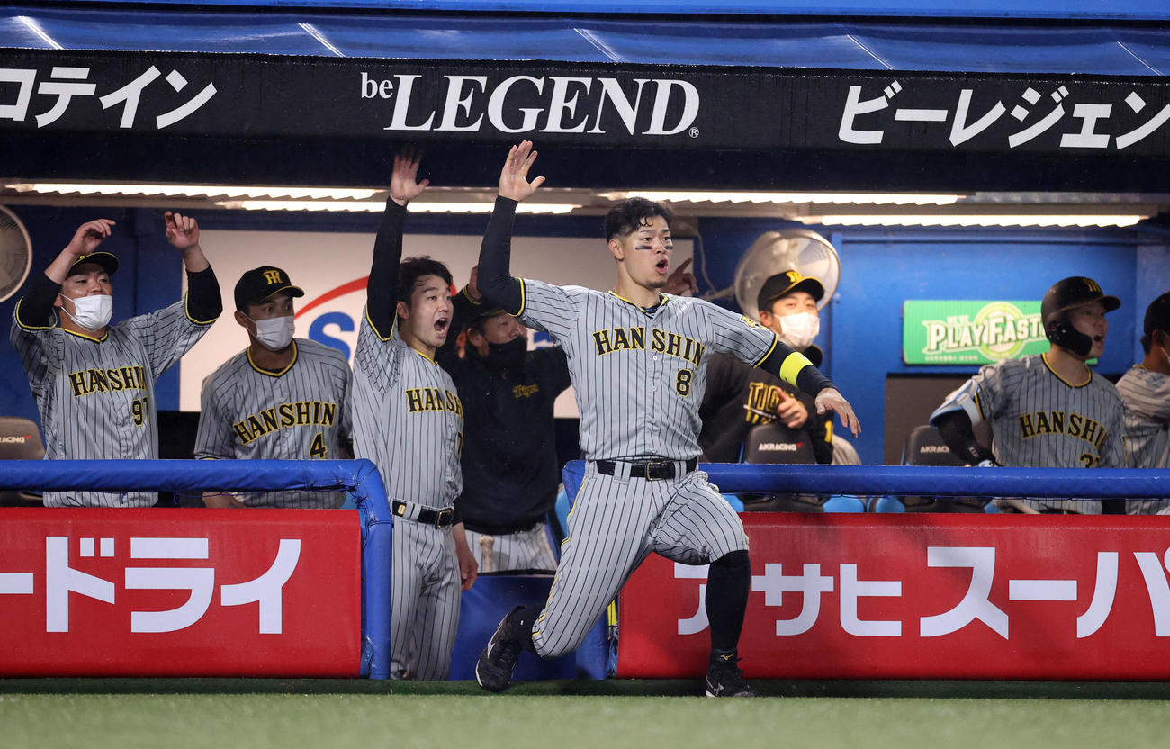 ヤクルト対阪神　7回表阪神2死二塁、阪神小幡の2点本塁打にベンチから飛び出して喜ぶ佐藤輝（手前）ら（撮影・狩俣裕三）