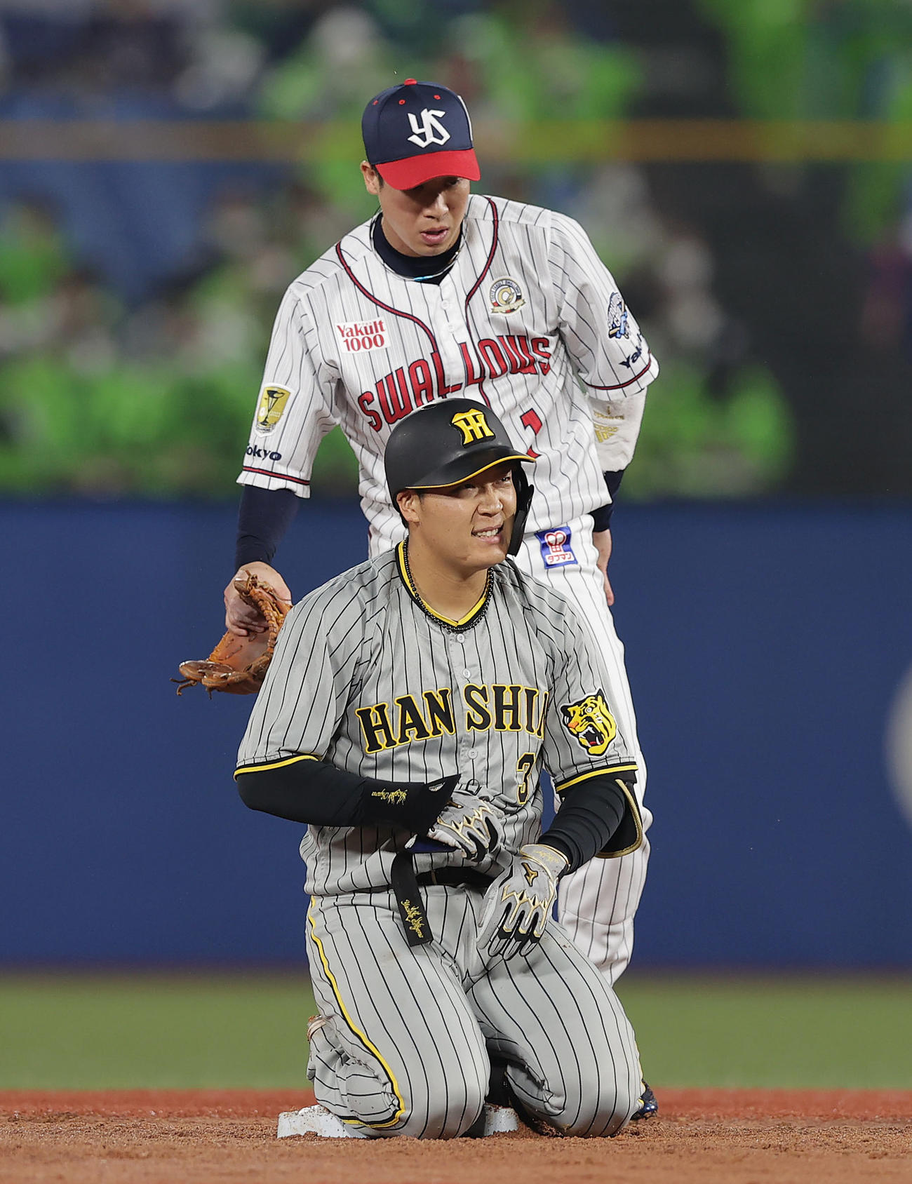 24日のヤクルト戦、3回に二塁打を放ち滑り込むも顔をゆがめる阪神大山（手前）