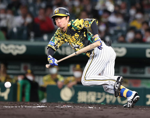 阪神対中日　3回裏阪神無死二塁、近本はセーフティーバントを決める（撮影・上山淳一）