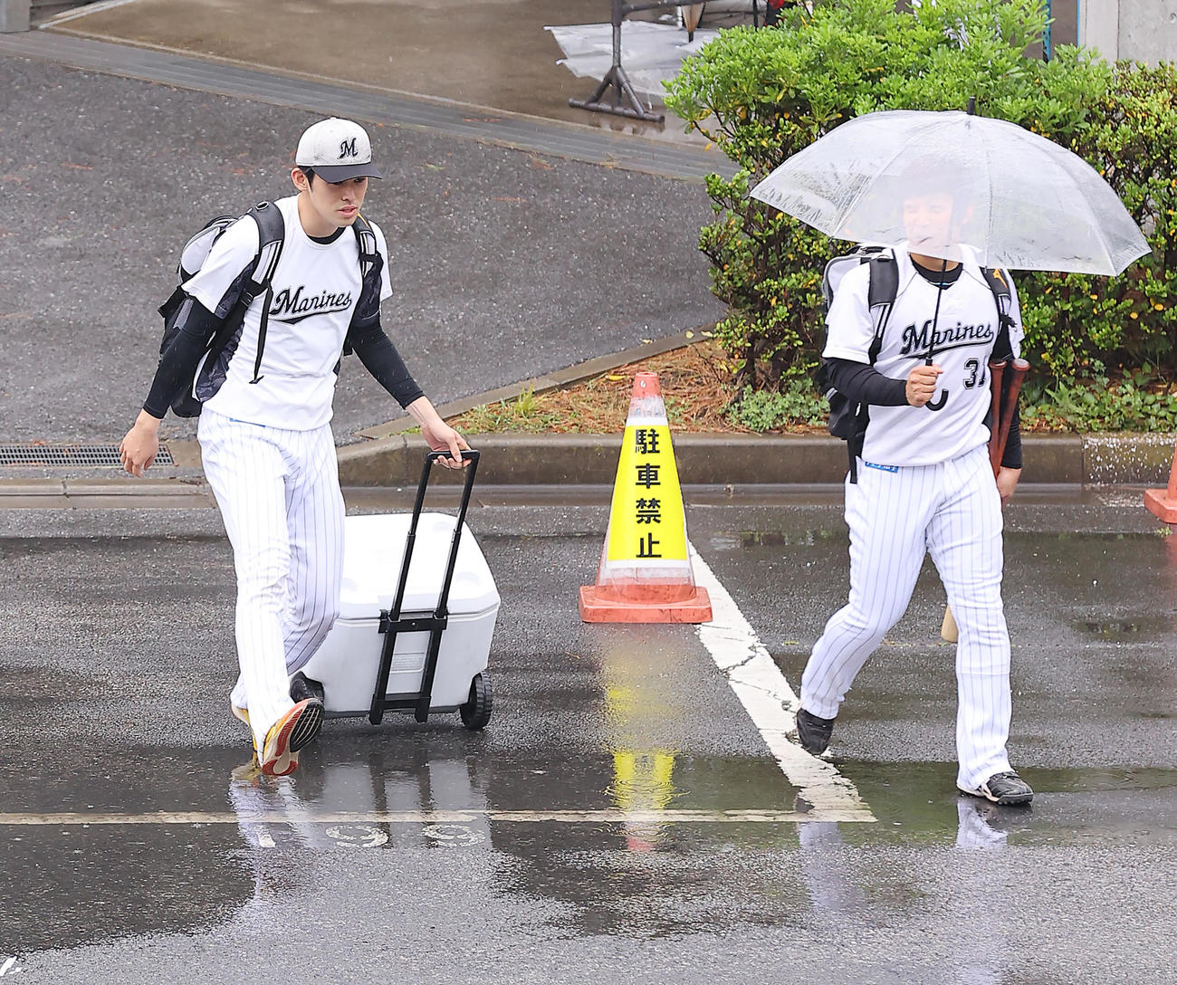 ロッテ対日本ハム　雨天中止となり、水たまりを避けながら室内練習場を後にするロッテ佐々木朗（左）、菅野（撮影・垰建太）