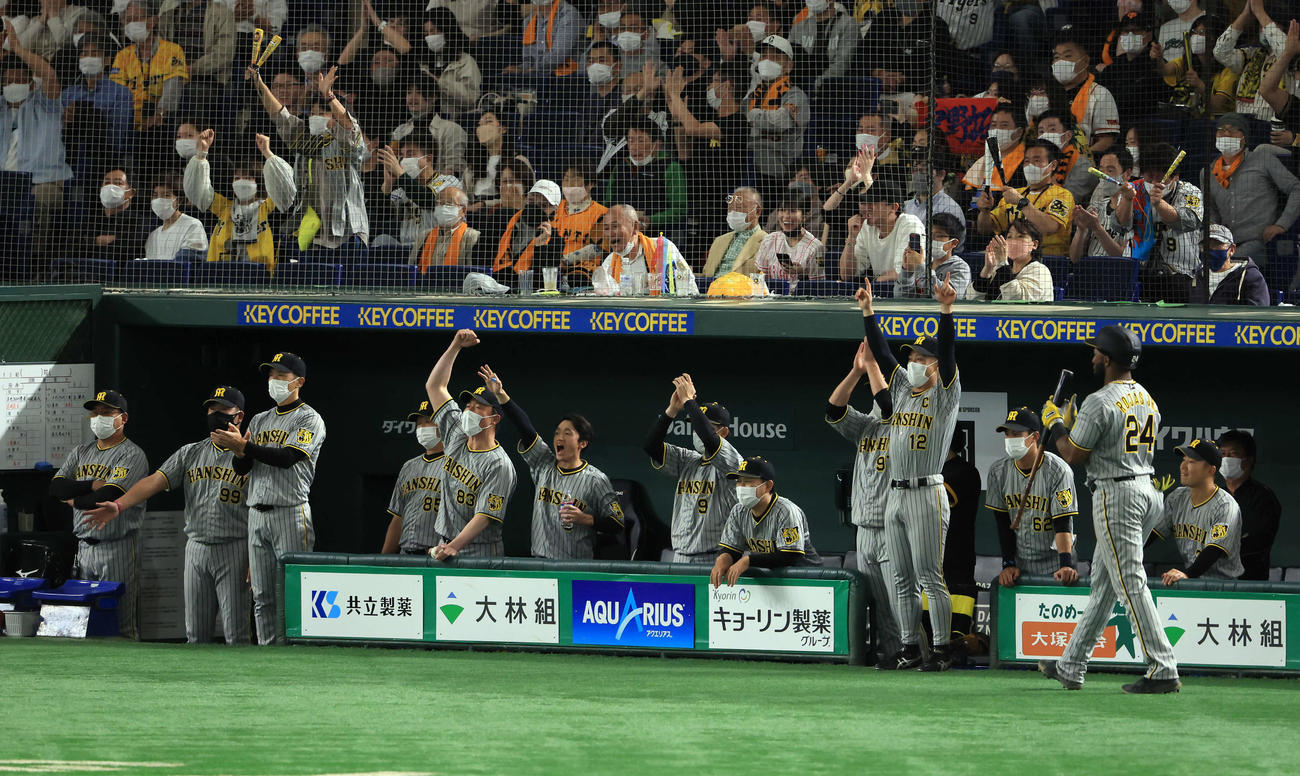 巨人対阪神　7回表阪神2死満塁、糸井が中越え2点適時打を放ち盛り上がる阪神ベンチ（撮影・浅見桂子）