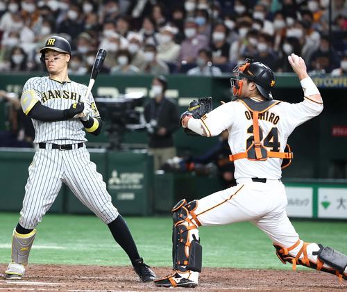 巨人対阪神　4回表阪神無死一、三塁、大城は二塁への悪送球で近本の生還を許す。打者は佐藤輝（撮影・上田博志）