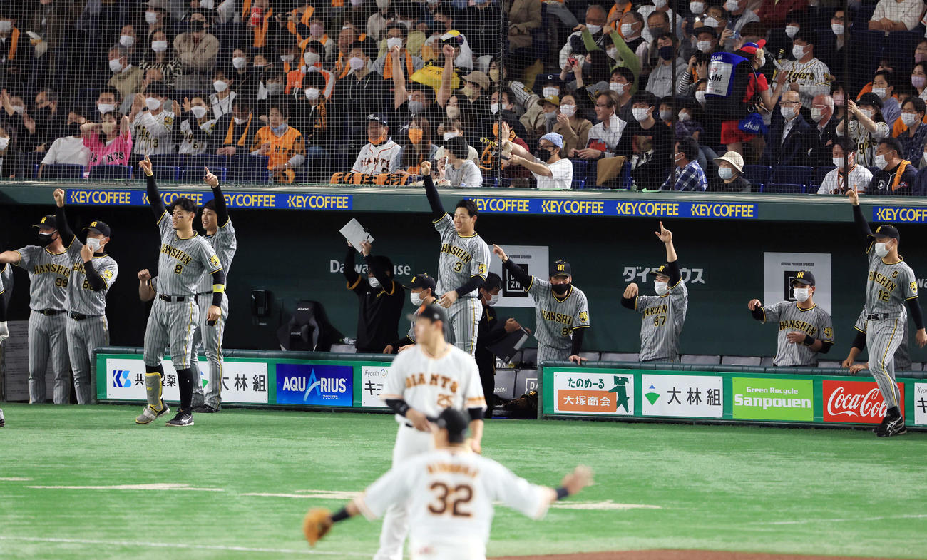 巨人対阪神　8回表阪神1死満塁、糸井が2点適時打を放ち、大喜びの阪神ベンチ（撮影・浅見桂子）