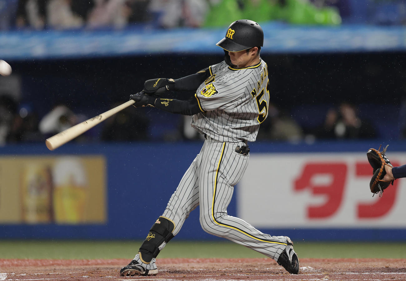阪神中野拓夢（2022年4月24日撮影）
