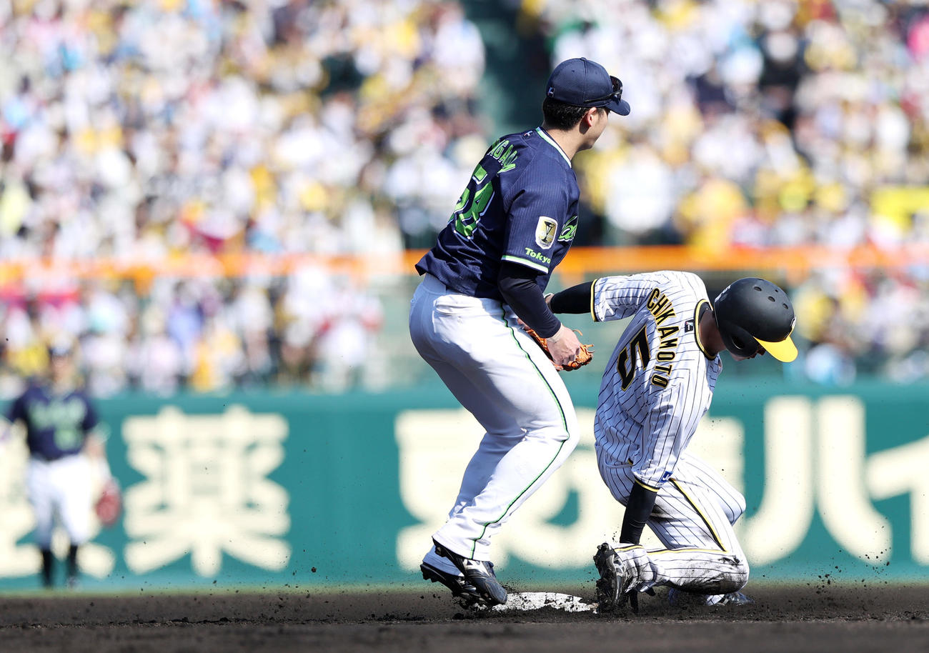 阪神対ヤクルト　6回裏阪神1死一、三塁、打者中野の時、二盗を決める近本（撮影・上山淳一）