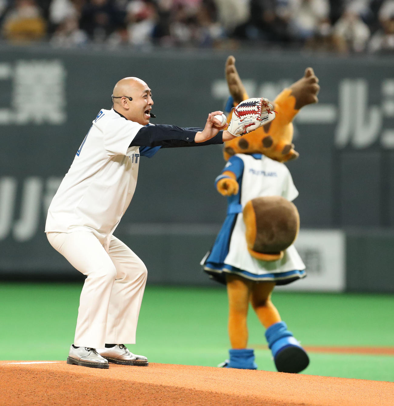 日本ハム こんにちは 錦鯉がファーストピッチ 長谷川雅紀 同い年新庄監督と共演実現 プロ野球写真ニュース 日刊スポーツ