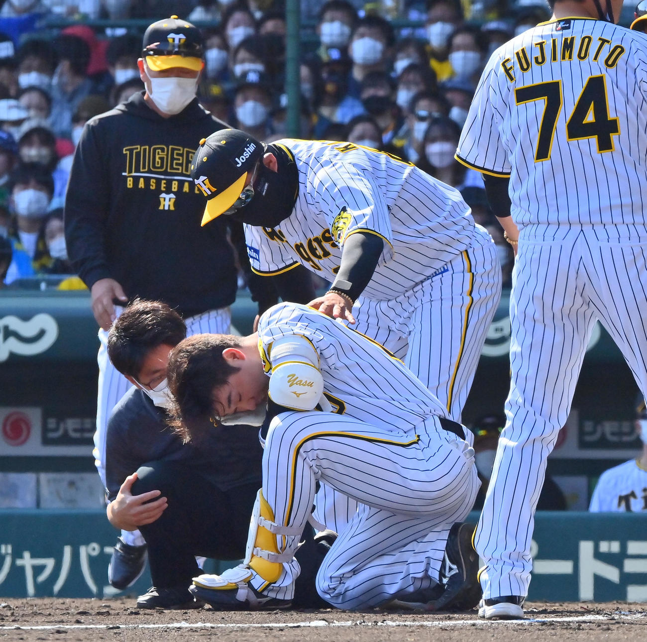 阪神対ヤクルト　3回無死一塁、打球が自身の顔面に当たり治療する山本（撮影・和賀正仁）