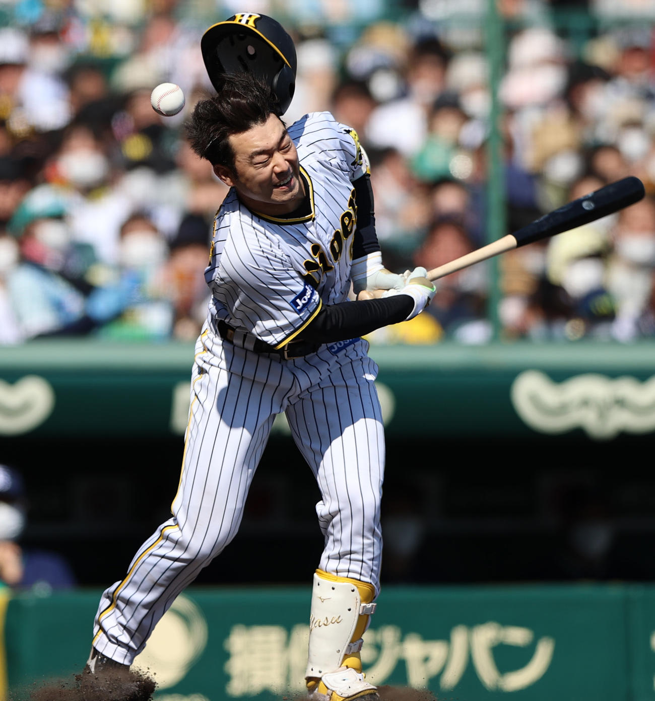阪神対ヤクルト　3回裏阪神無死一塁、山本泰寛は自打球が当たる（撮影・上山淳一）